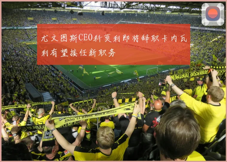 尤文图斯CEO科莫利即将辞职卡内瓦利有望接任新职务