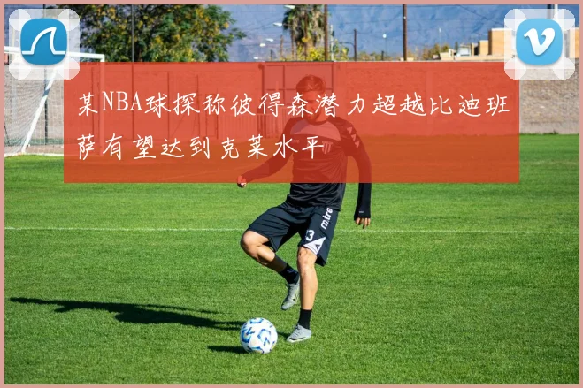 某NBA球探称彼得森潜力超越比迪班萨有望达到克莱水平